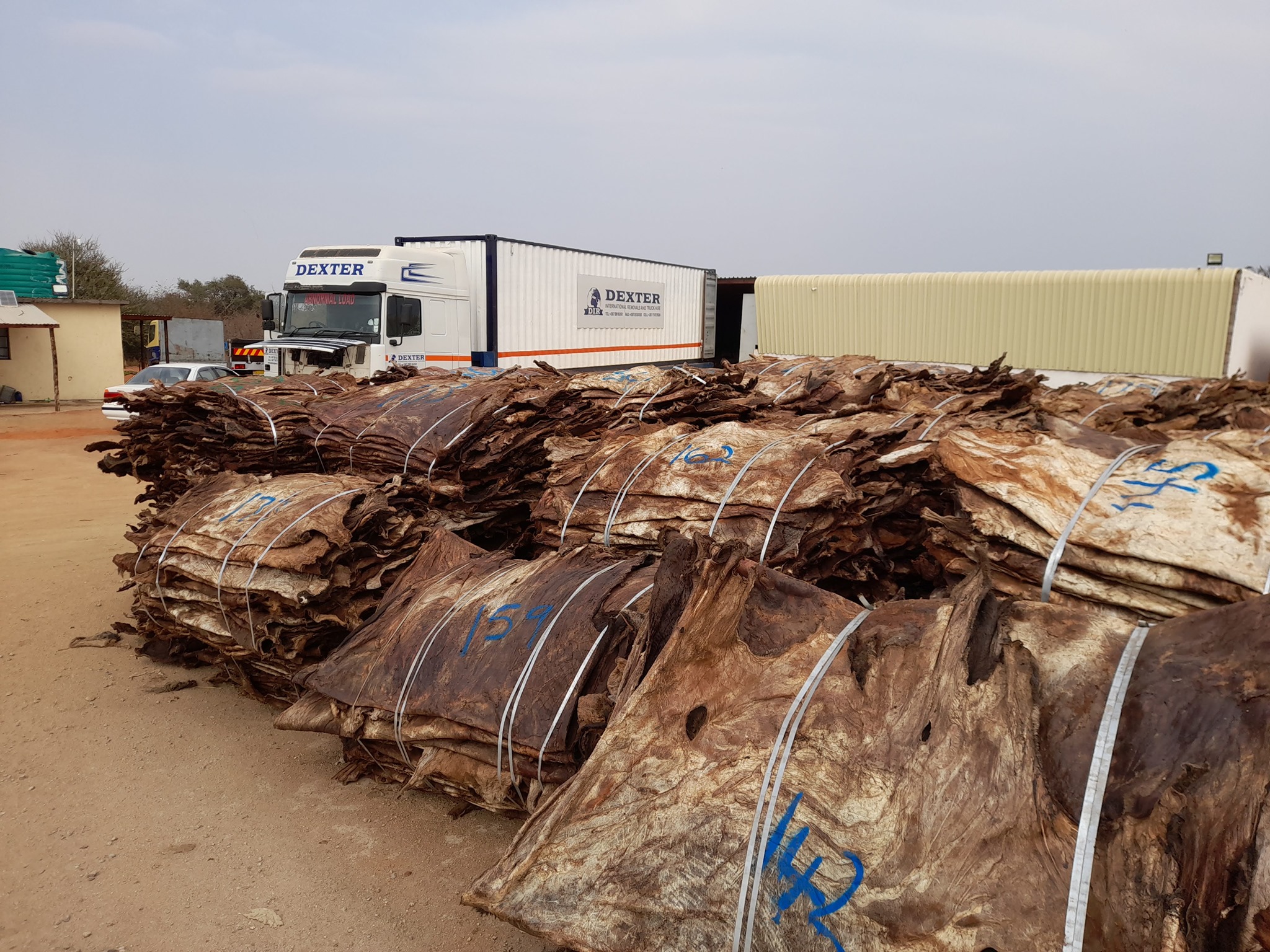 International Household Move